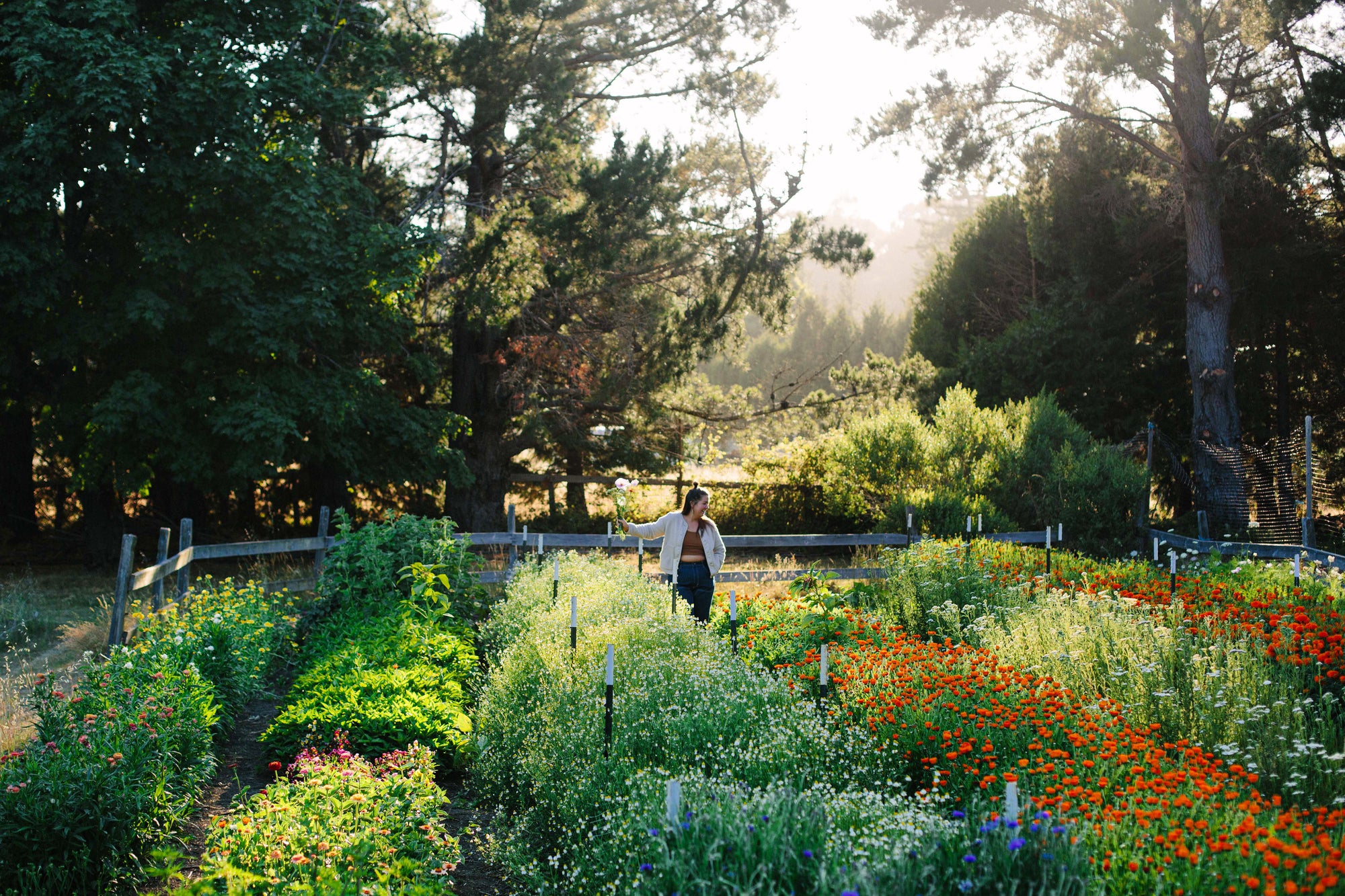 Jess standing in her flower field