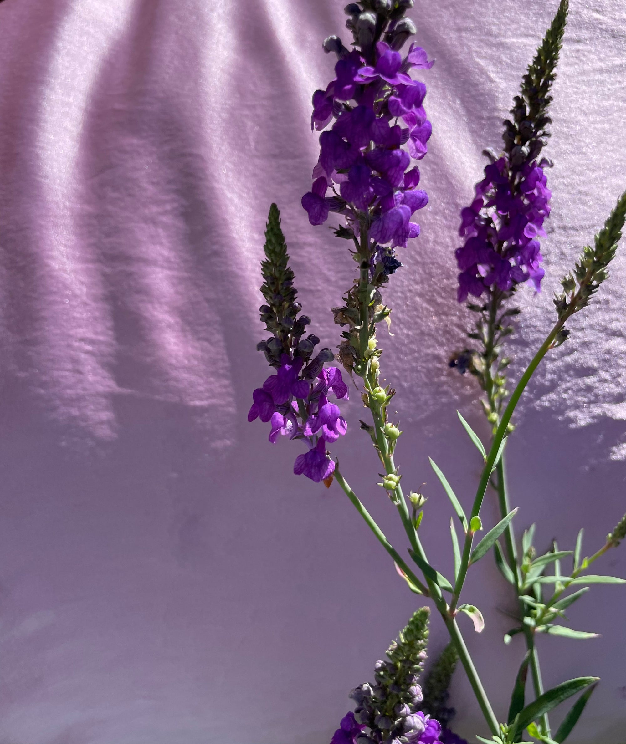 Light Lilac Silk Pillowcase Set