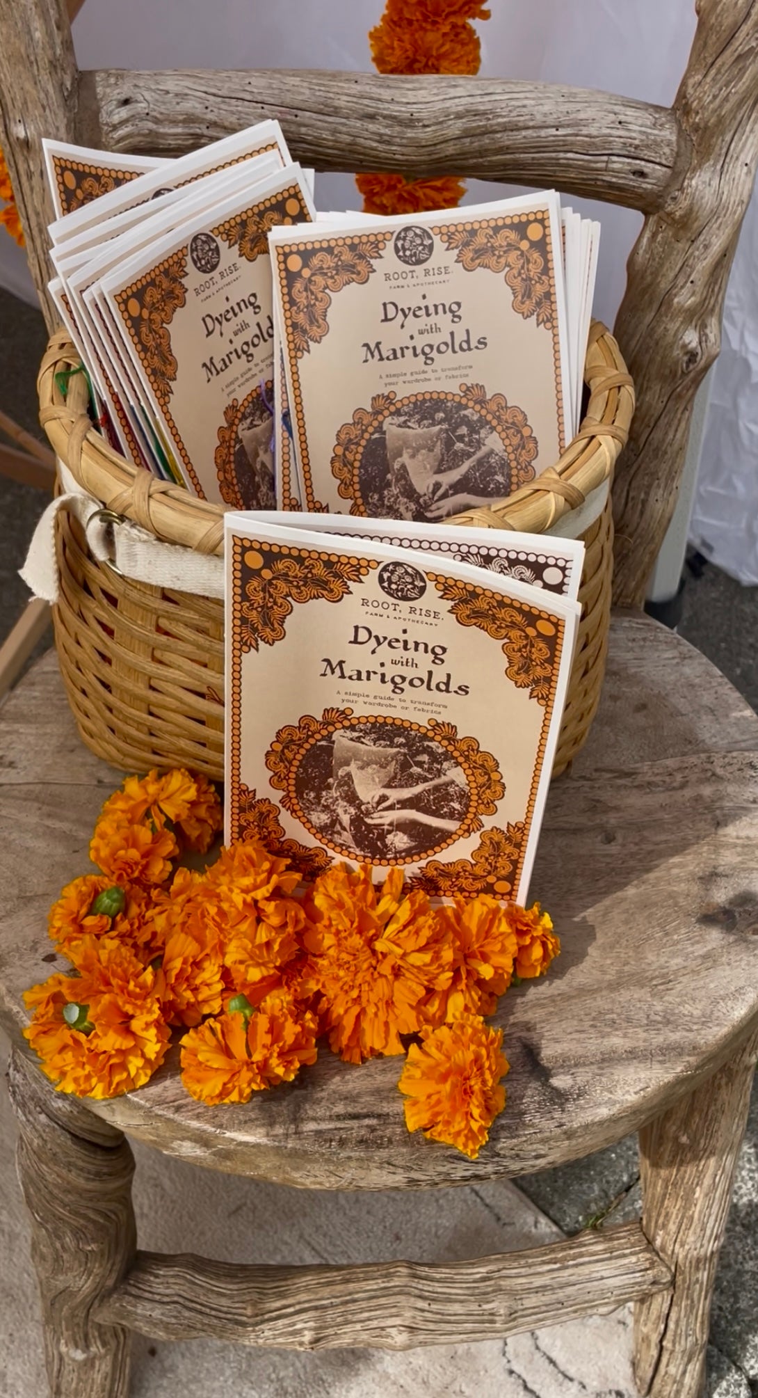 How To Dye With Marigolds E-Book 𖦹 PRINTED 𖦹 version